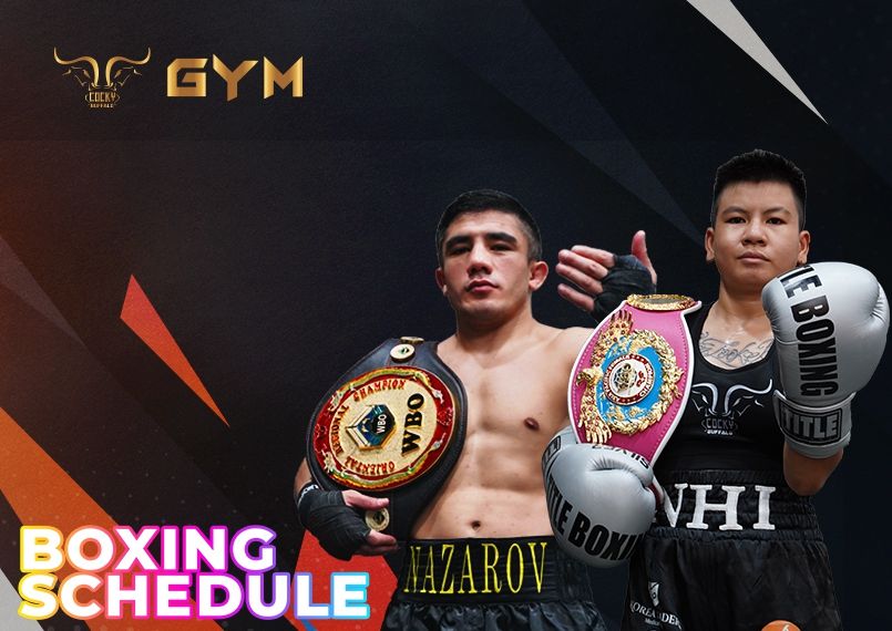 Boxing schedule